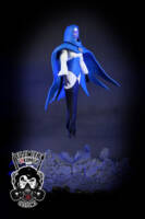 Blue Lantern Sister Sercy (DC Universe) Custom Action Figure