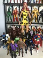 Giganta (Wonder Woman) Custom Action Figure