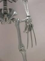 Wolverine's Adamantium Skeleton (Hellboy) Custom Action Figure