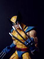 Wolverine (Marvel Legends) Custom Action Figure