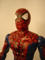Spiderman: India (Spider-Man) Custom Action Figure