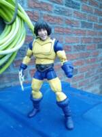 Theodore Logan: Ted from Bill & Ted's Excellent Adventure (an amalgamated version) (Amalgam) Custom Action Figure