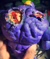 The Maxx 12' (Wuzzles) Custom Action Figure