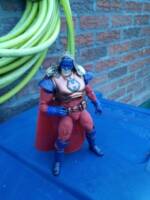 The Heralded: Heraldriel Hans Halberd (original character) (Original) Custom Action Figure