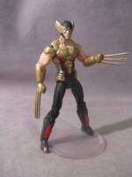 Phoenix Force Wolverine (Marvel Universe) Custom Action Figure