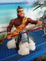 Sun wukong (Masters of the Universe) Custom Action Figure