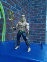 Aquaman (not an accurate depiction) (DC Universe) Custom Action Figure