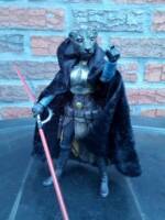 Lyran :Thera Onca Pardus sister of Po'El Pardus known as The Mad One  (an original character) (Original) Custom Action Figure