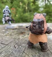 Warrior Wicket (Star Wars) Custom Action Figure