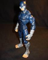 Wildcat (DC Universe) Custom Action Figure