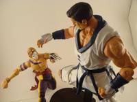 Kim Kaphwan (Capcom vs. SNK) Custom Action Figure