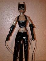 Halle Berry - Catwoman (DC Universe) Custom Action Figure