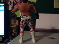Brutus Beefcake(LJN) (Wrestling) Custom Action Figure