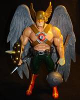 Hawkman: DCUC (DC Universe) Custom Action Figure