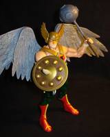 Hawkman: DCUC (DC Universe) Custom Action Figure