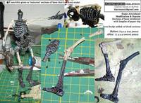 Freddy Krueger Skeleton (super-articulated) (Nightmare on Elm Street) Custom Action Figure