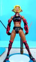 Final Fantasy XI_Warrior(Elvaan) (Final Fantasy) Custom Action Figure
