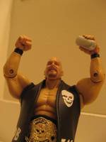 Stone Cold Steve Austin (Wrestling) Custom Action Figure