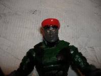 Panser (Warriors) Custom Action Figure