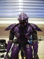Supreme Commander Elite From Halo Graphic Novel (Halo) Custom Action Figure