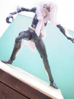 The Black Cat (Marvel Legends) Custom Action Figure