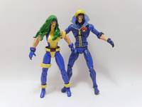 Havok  and Polaris Unverse Size (Marvel Universe) Custom Action Figure