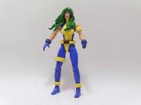 Havok  and Polaris Unverse Size (Marvel Universe) Custom Action Figure