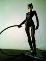 Catwoman (DC Direct) Custom Action Figure