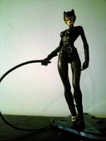 Catwoman (DC Direct) Custom Action Figure