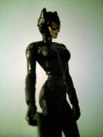 Catwoman (DC Direct) Custom Action Figure