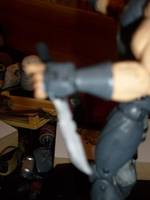 The Lone Wolf (Original) Custom Action Figure