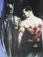 Batman (DC Universe) Custom Action Figure