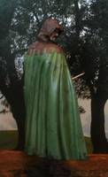 Wulf (Dungeons and Dragons) Custom Action Figure