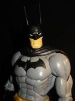 The Batman DCUC (Batman) Custom Action Figure