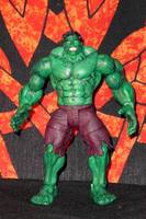 Hulk (Incredible Hulk) Custom Action Figure