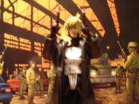 Lynn Michaels Punisher (Punisher) Custom Action Figure