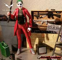 Harley Quinn  -  Dark Knight Style  -  'the Arkham Files'  #08 (Dark Knight) Custom Action Figure