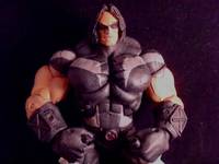 Warpath 2 X-Force NEW (Marvel Legends) Custom Action Figure