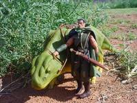 Fantasy Warrior (G.I. Joe) Custom Action Figure