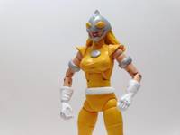Moonstone Masters of Evil (Marvel Legends) Custom Action Figure