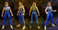 Chun Li Street Fighter Alpha (Street Fighter) Custom Action Figure