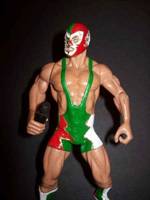 Dr. Wagner (Wrestling) Custom Action Figure