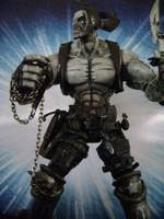 LOBO "The Main Man" (DC Direct) Custom Action Figure