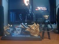 Ghost Rider (Marvel Legends) Custom Action Figure