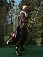 Baron Zemo (Helmut) (Captain America) Custom Action Figure