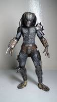 Setg'-in (Predator) Custom Action Figure