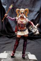 Harleyquinn Arkham (DC Superheroes) Custom Action Figure