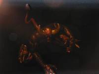 ASIS (Marvel Legends) Custom Action Figure