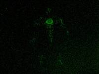 GL Dark Lantern (Evil Kilowog) (Green Lantern) Custom Action Figure