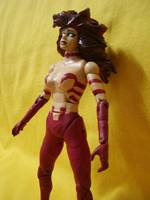 Phoenix AoA / Mutant Alpha (Marvel Legends) Custom Action Figure